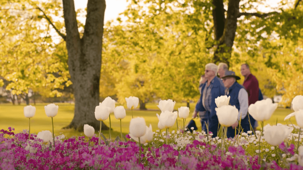 Community At Its Heart | Ranfurly Village